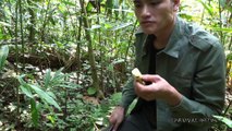 Survival Instinct - How to make fire from dry bamboos
