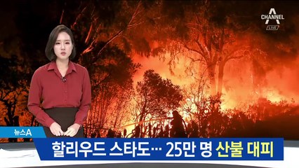 할리우드 스타도…캘리포니아 25만 명 산불 대피