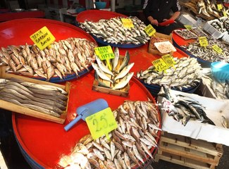 Palamut Tahtını Hamsiye Devrediyor