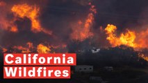 California Wildfires: Fatalities Confirmed As Monster Flames Ravage State