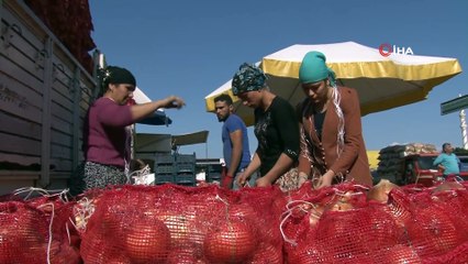 Soğan Fiyatı Tavan Yaptı
