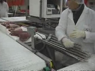 Control Hallal de la viande bovine et ovine