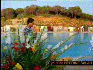 الفنان محمد الجبالي 1989 ــ غزالة بين الأجــــبال