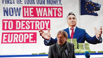 Europee: i liberali di Alde alleati con Macron