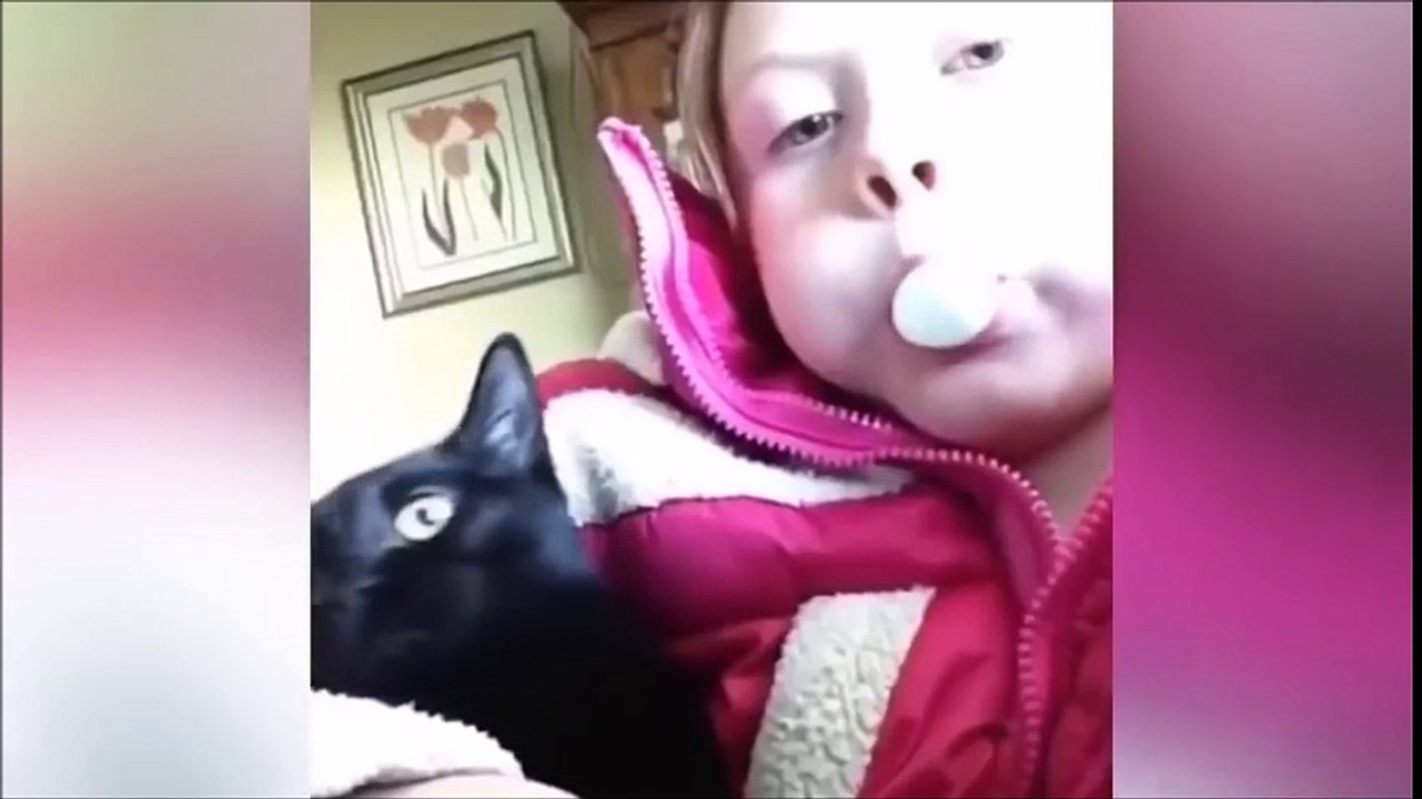 Lustige Tiere in Action - Funny Animals in Action