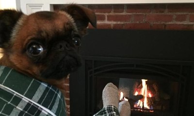 لمحبي الحيوانات الأليفة: ملابس نوم متطابقة لكم ولهم