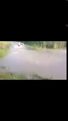 #ЗагасНаадуулна гэдэг чинь энэ! 