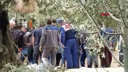 Bursa İznik'te Bulunan Lahitten, İki Generalin Mumyalanmış Cesetleri Çıktı