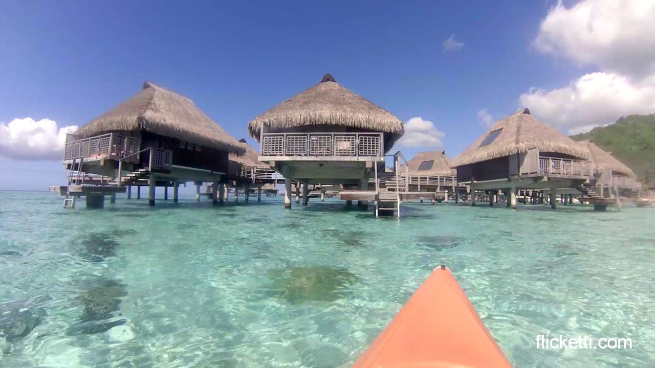 Things to do in Paradise (Moorea)
