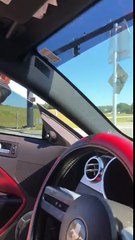 Il se précipite pour secourir une tortue au milieu d'un carrefour