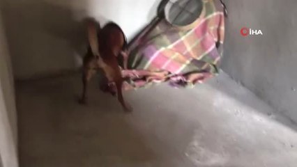 Van'da Bir Evde 80 Kilo Eroin Ele Geçirildi