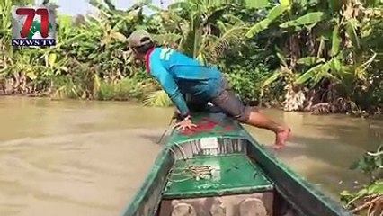 50 kg fish very attractive video