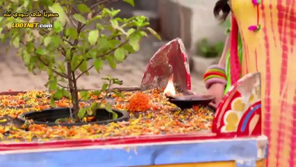 مسلسل لاتبتعد عن قلبي الحلقة 44 مترجمة