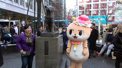 【人気調査】ハチ公より私の方が可愛いと思います。