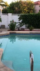 Bobcats Lounge by Backyard Pool