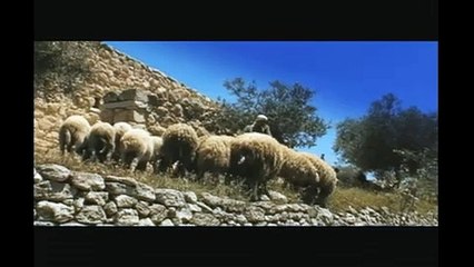 Daily Life in the Time of Jesus DVD