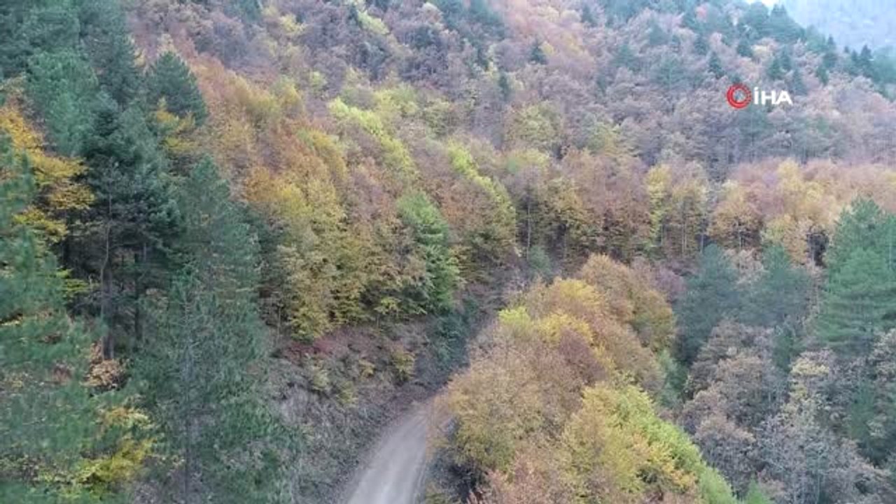 Türkiye'nin En Büyük Blok Ormanlarını Barındıran Yenice'nin Sonbahar Güzelliği Havadan Görüntülendi