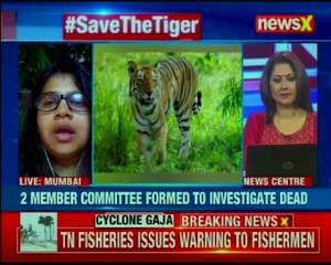 Global march demands justice for tigress Avni and her two 10-month-old cubs