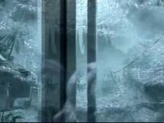 Crysis - Une jungle vivante.