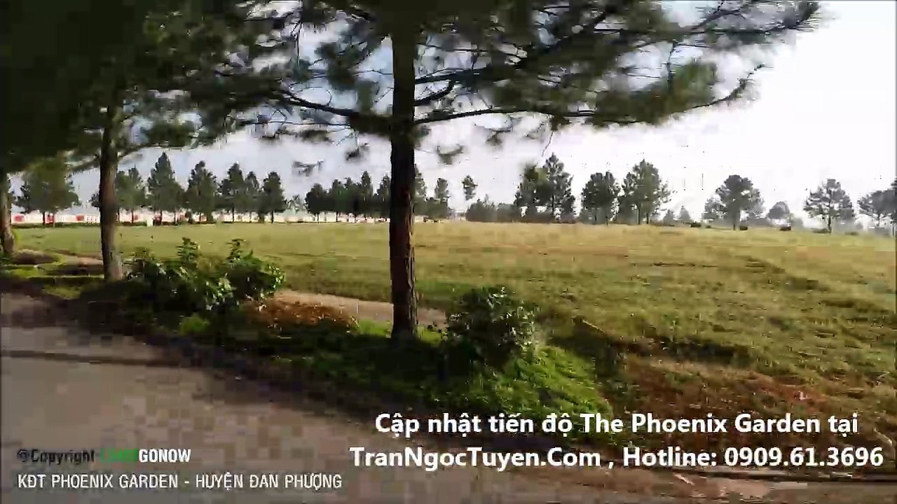 Tổng thể dự án biệt thự The phoenix Garden - thị trấn Phùng, huyện Đan Phượng, Hà Nội
