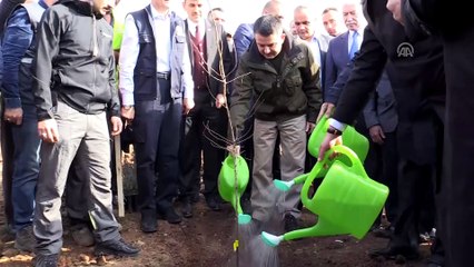 Bitkisel orman atıkları enerjiye dönüştü - ESKİŞEHİR