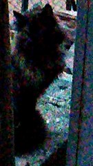 mondo animale EP 230