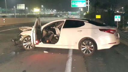 경부고속도로에 멧돼지 2마리 튀어나와 / YTN