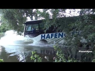 Beautiful Amphibious River Bus Tour