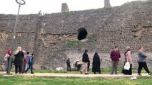 Tarihi surlardan düşen baba ve oğlu ağır yaralandı - DİYARBAKIR