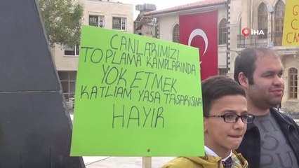 Kilis'te 9 Kişilik Gruptan Hayvanlara İşkence Protestosu