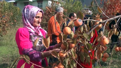 Kaymakam Ayca, Çukurcalı çiftçiyi ziyaret etti - HAKKARİ