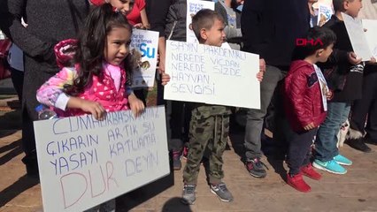 Mersin Hayvanseverler Beklentilerini Dile Getirdi