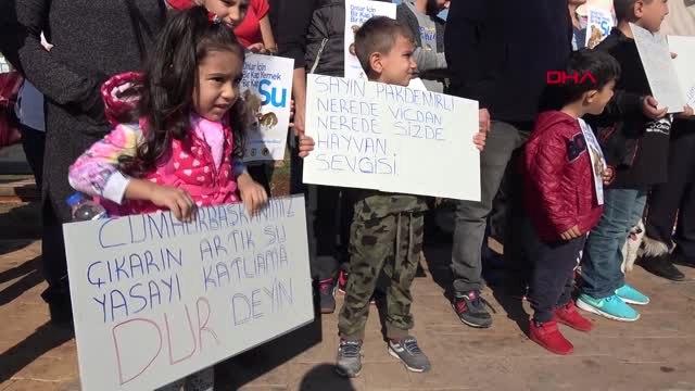 Mersin Hayvanseverler Beklentilerini Dile Getirdi