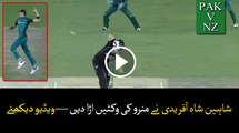 PAKvNZ: Munro Bowled by Shaheen Afridi