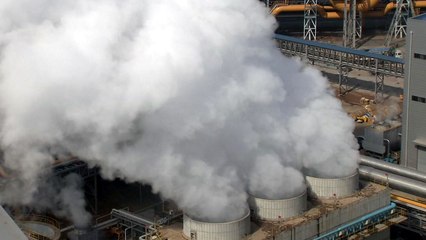 석탄발전소 더 짓고 미세먼지 줄인다? / YTN