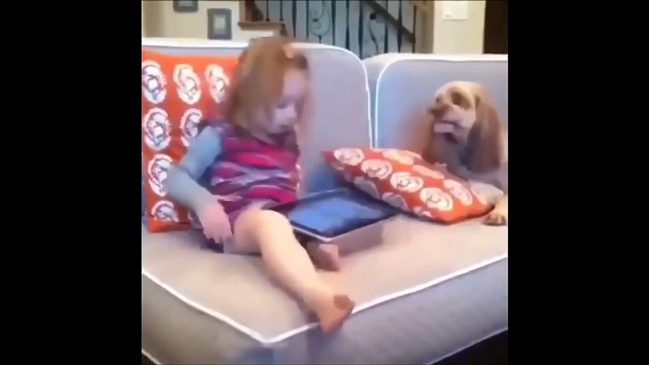 Lustige und niedliche Tiere || Funny and Cute Animals