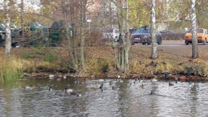 Oct 28 2018 F5