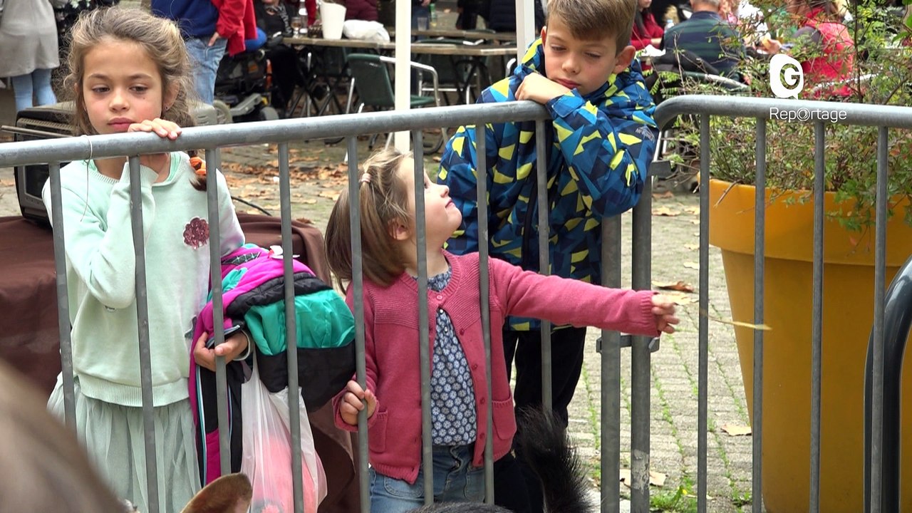 Reportage - La Saint-Martin à Voiron, une fête des associations