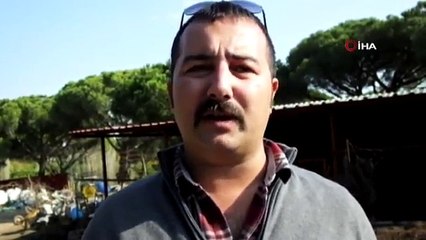 Üç Mahallede ’Kuduz’ Karantinası