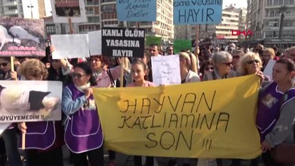 İzmir Hayvan Hakları İçin Kedi Bıyığı ile Eylem Yaptılar