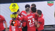 But Jakob JOHANSSON (8ème) / Stade Rennais FC - FC Nantes - (1-1) - (SRFC-FCN) / 2018-19