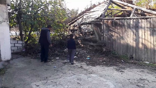 Patisi kesik bulunan köpek tedaviye alındı - SAKARYA