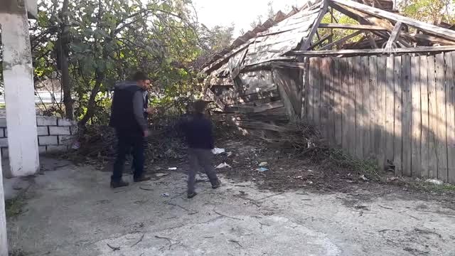 Patisi Kesik Bulunan Köpek Tedaviye Alındı