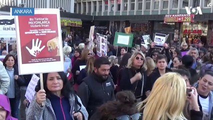 Hayvan Hakları Savunucularından Meclis’e Çağrı