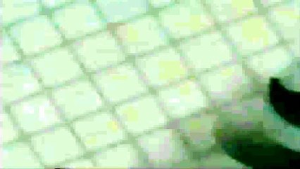 Vinheta:  STV SescSenac (2000)