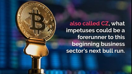 Sooner or later a cryptocurrency bull run will happen