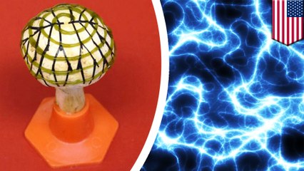 'Power mushroom' converts light into clean energy