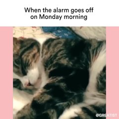 When the alarm goes off on Monday morning