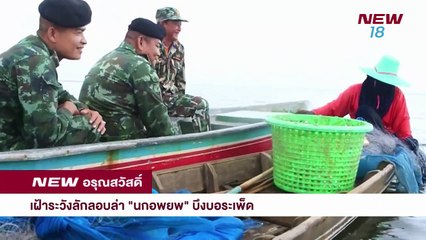 นิวอรุณสวัสดิ์ ช่วงที่ 3 | 12 พ.ย. 61 | NEW18