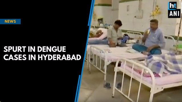 Spurt in dengue cases in Hyderabad
